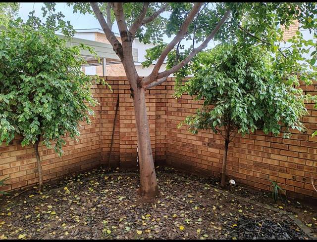 3 BEDROOM PROPERTY TO RENT IN HAZELDEAN